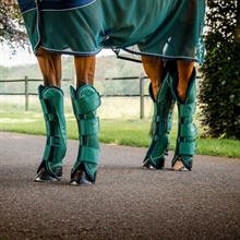 Horseware Signature Transportgamacher 